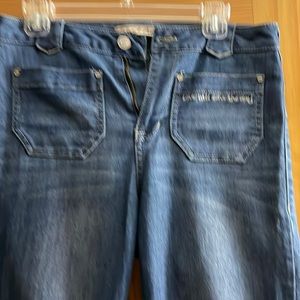 Sheryl Crow Flared Embroidered Leg Jean